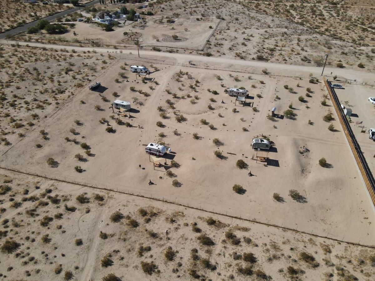Jt Village Campground - Lil Miss Daisy Joshua Tree Buitenkant foto